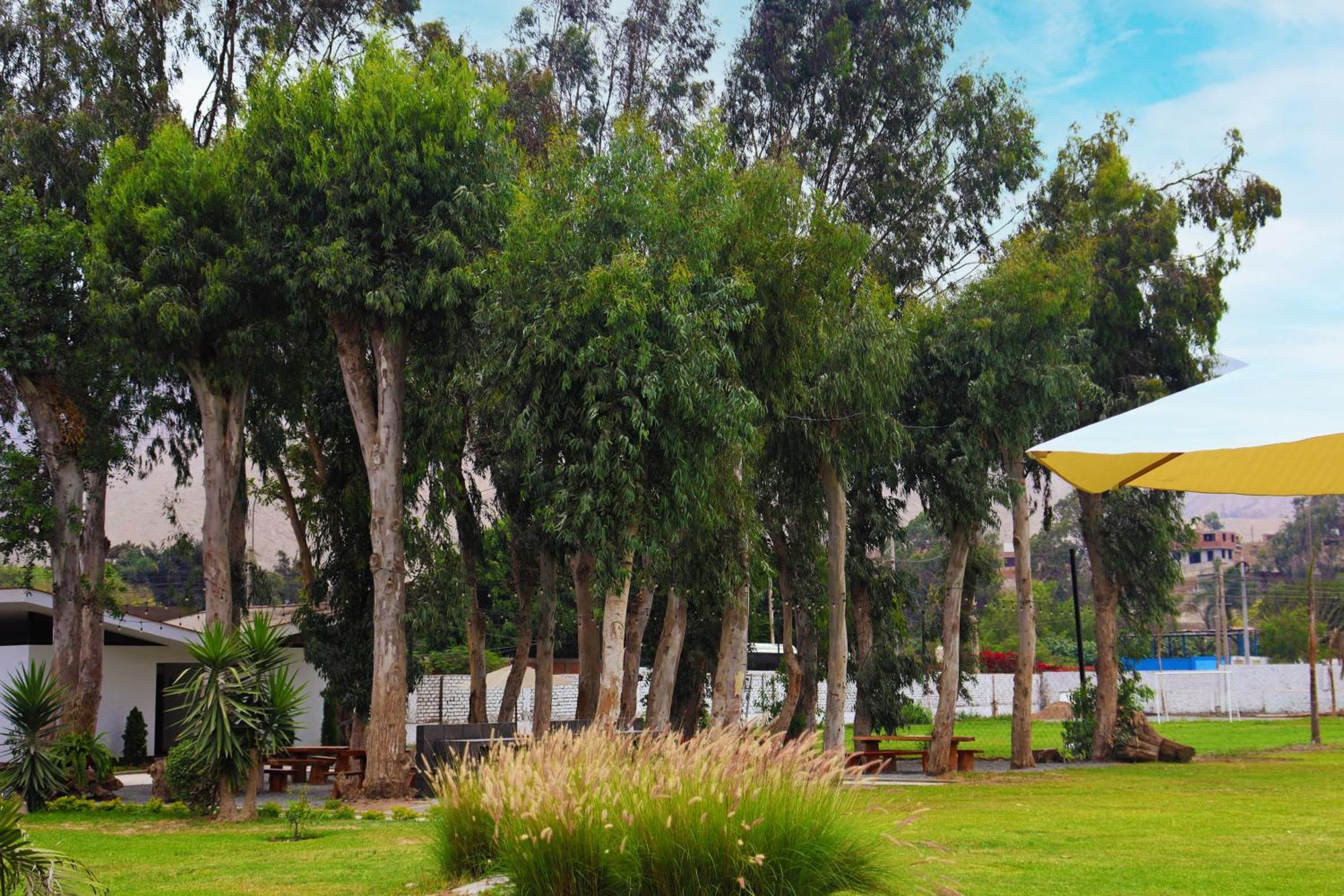 Los Andes - Restaurant & Bungalows Cieneguilla Exterior foto