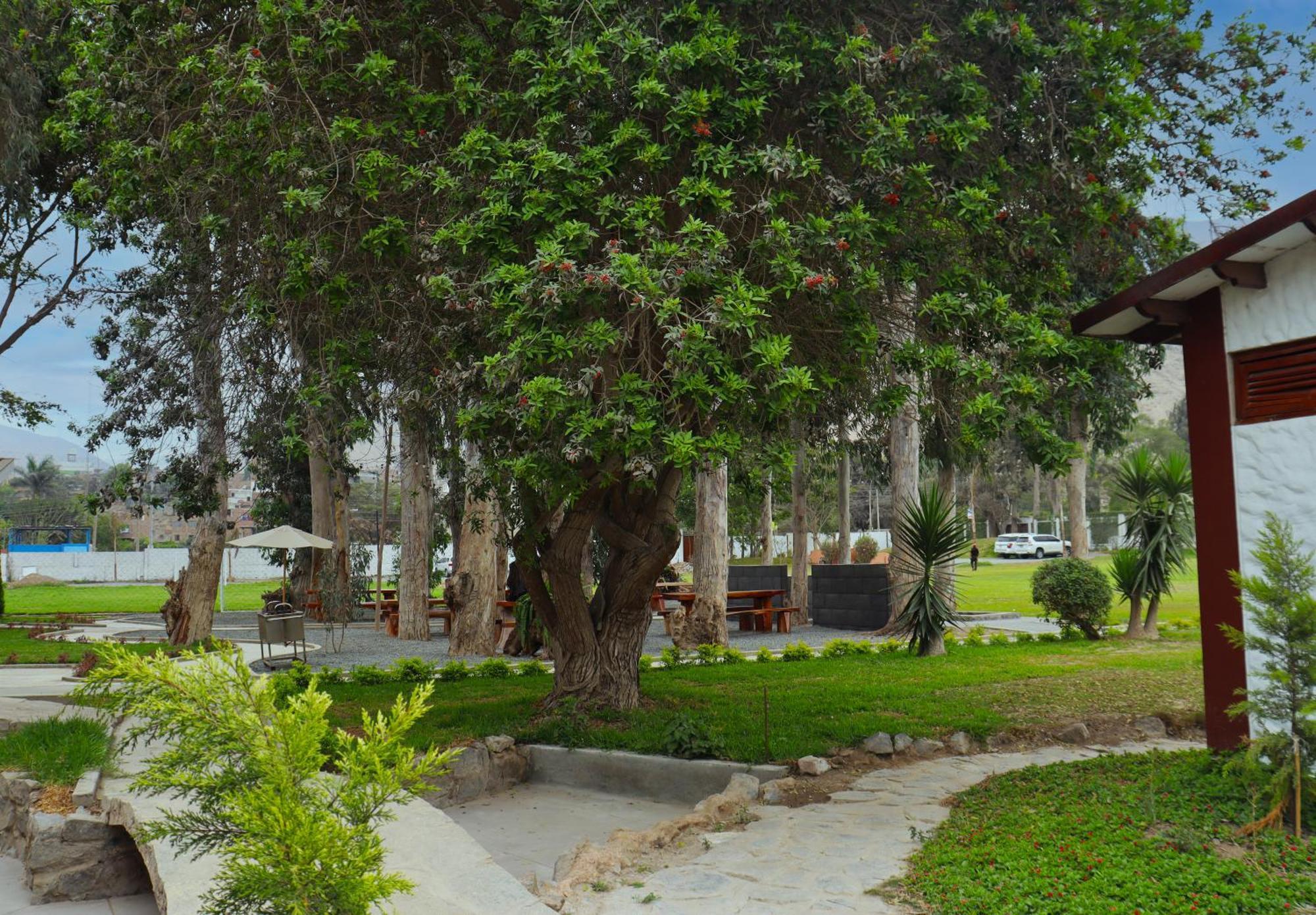 Los Andes - Restaurant & Bungalows Cieneguilla Exterior foto