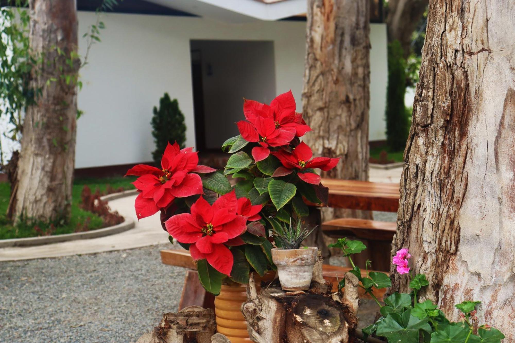 Los Andes - Restaurant & Bungalows Cieneguilla Exterior foto